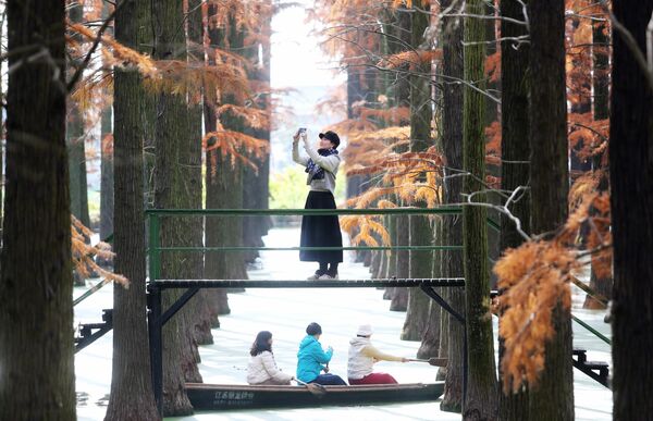 يستمتع السياح بأوقات فراغهم في غابة مائية بمنتزه بحيرة لويانغ للأراضي الرطبة في أوائل فصل الشتاء، في 9 ديسمبر 2025، في يانغتشو، بمقاطعة جيانغسو الصينية. - سبوتنيك عربي