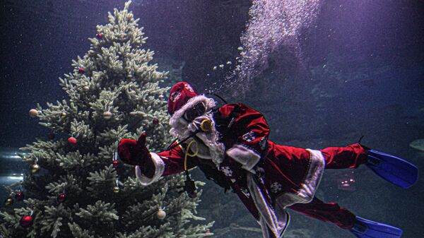 Дайвер в костюме Деда Мороза погрузился в главный морской аквариум Москвариума на ВДНХ  - سبوتنيك عربي