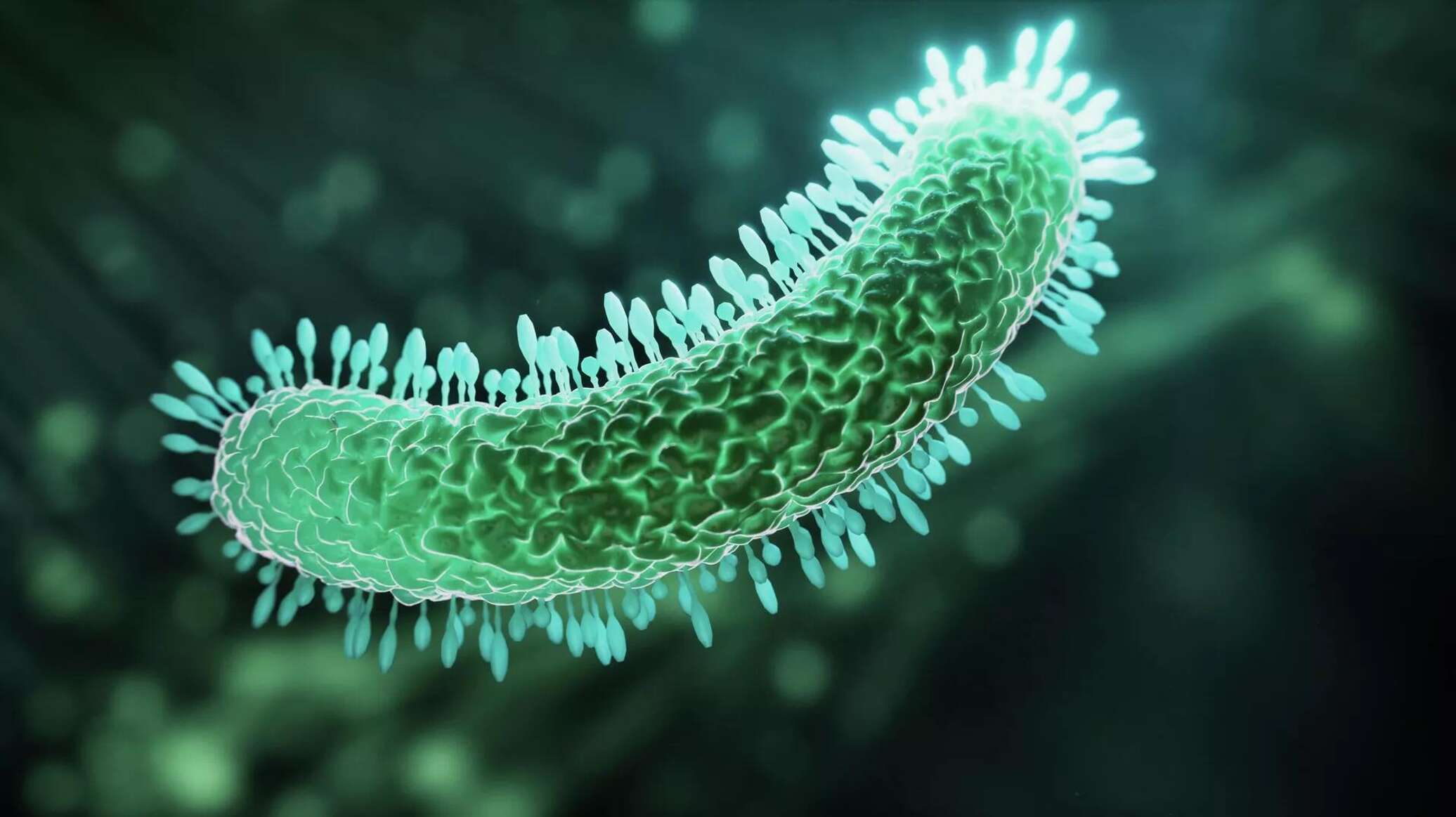 علماء روس يطورون "درعا" لحماية البكتيريا المفيدة وزيادة فعاليتها