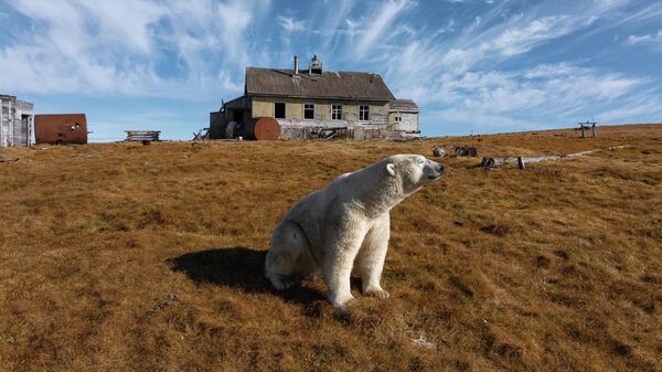  - سبوتنيك عربي