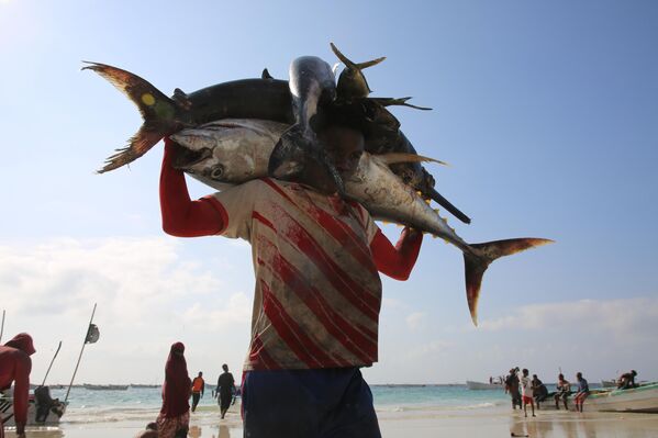 صياد يحمل الأسماك على الشاطئ فوق رأسه في مقديشو لدرجة اختفاء رأسه، الصومال - سبوتنيك عربي
