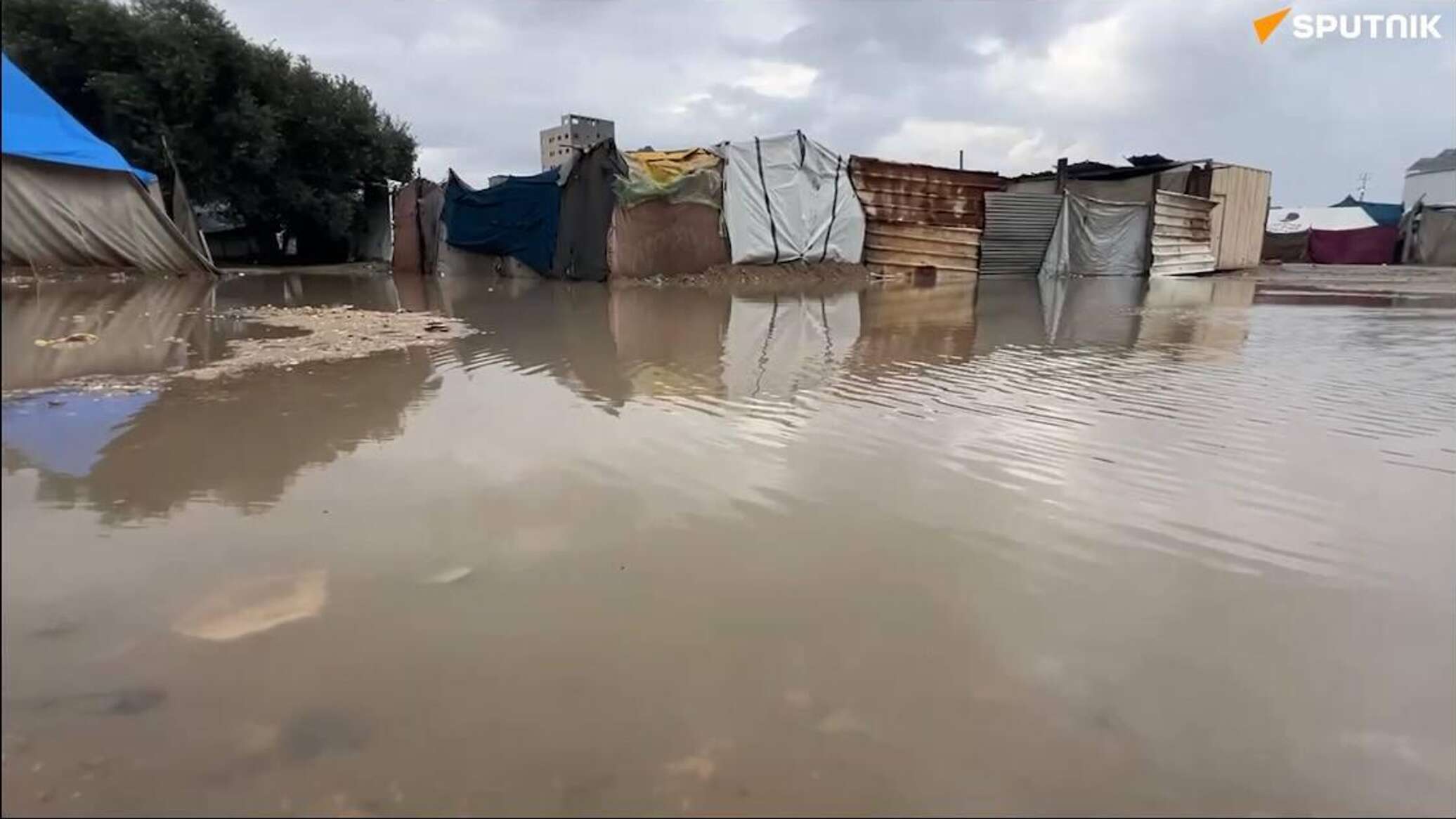 الشتاء القاسي يفاقم مأساة أطفال غزة ويعمق معاناة النازحين... فيديو