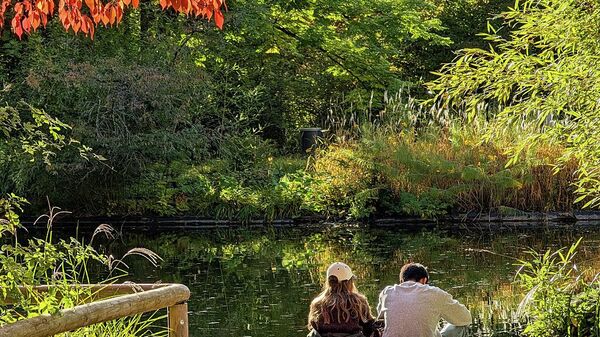 دراسة تكشف عقلية علماء النفس للحفاظ على الإيجابية - سبوتنيك عربي