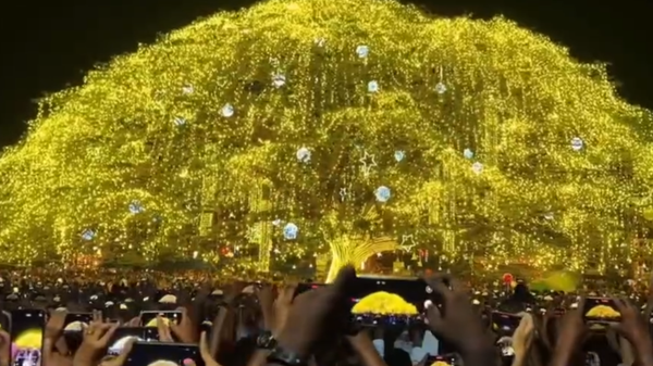 الهند تضيء شجرة عيد ميلاد عملاقة في كوتشي - سبوتنيك عربي