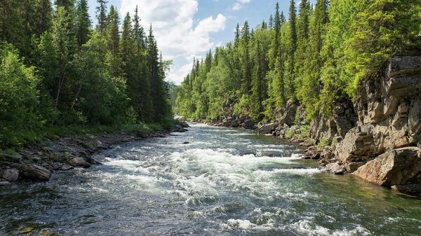 نهر - سبوتنيك عربي