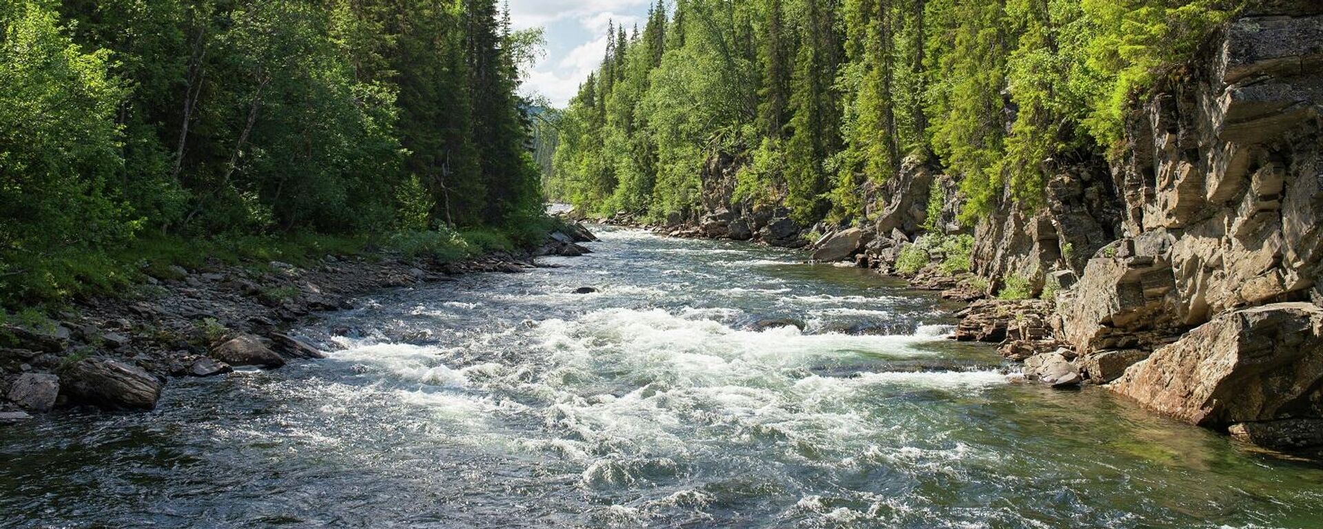 نهر - سبوتنيك عربي, 1920, 28.12.2025