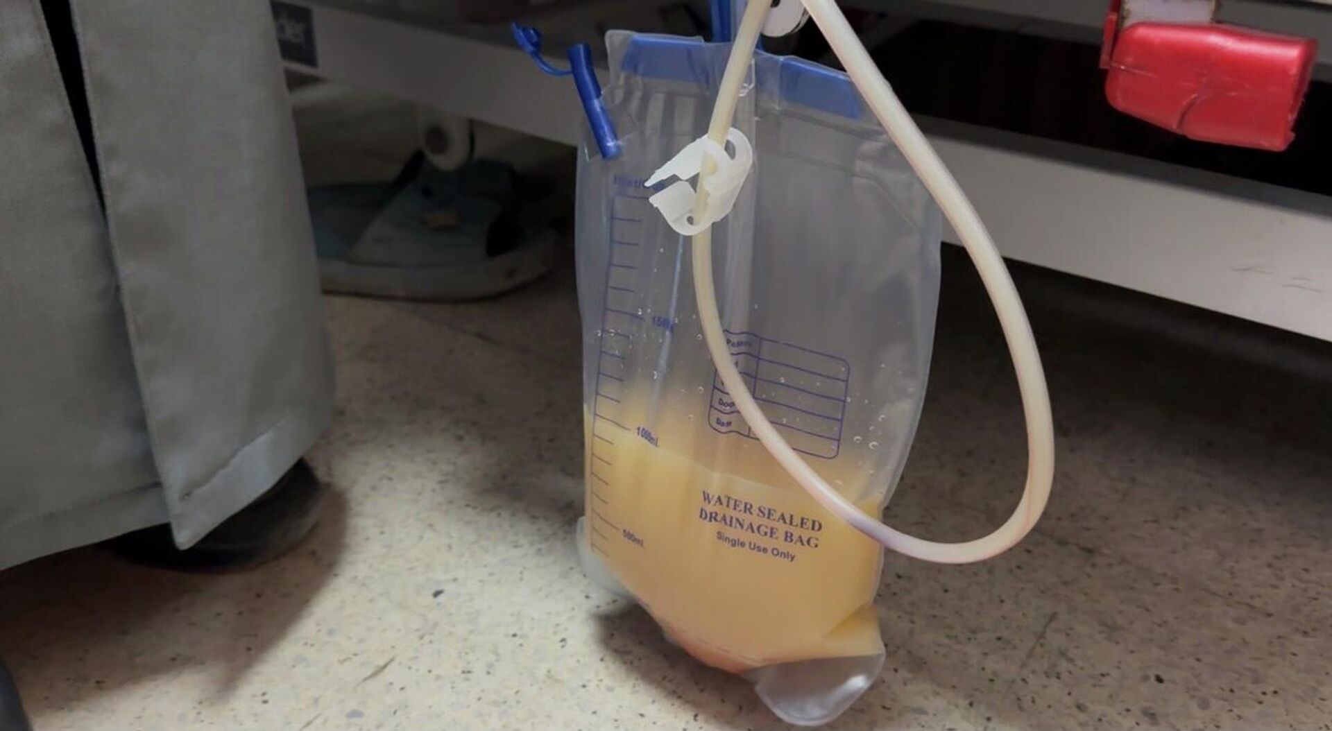 شذا حمدان طالبة متفوقة تواجه السرطان في غزة  - سبوتنيك عربي, 1920, 29.12.2025