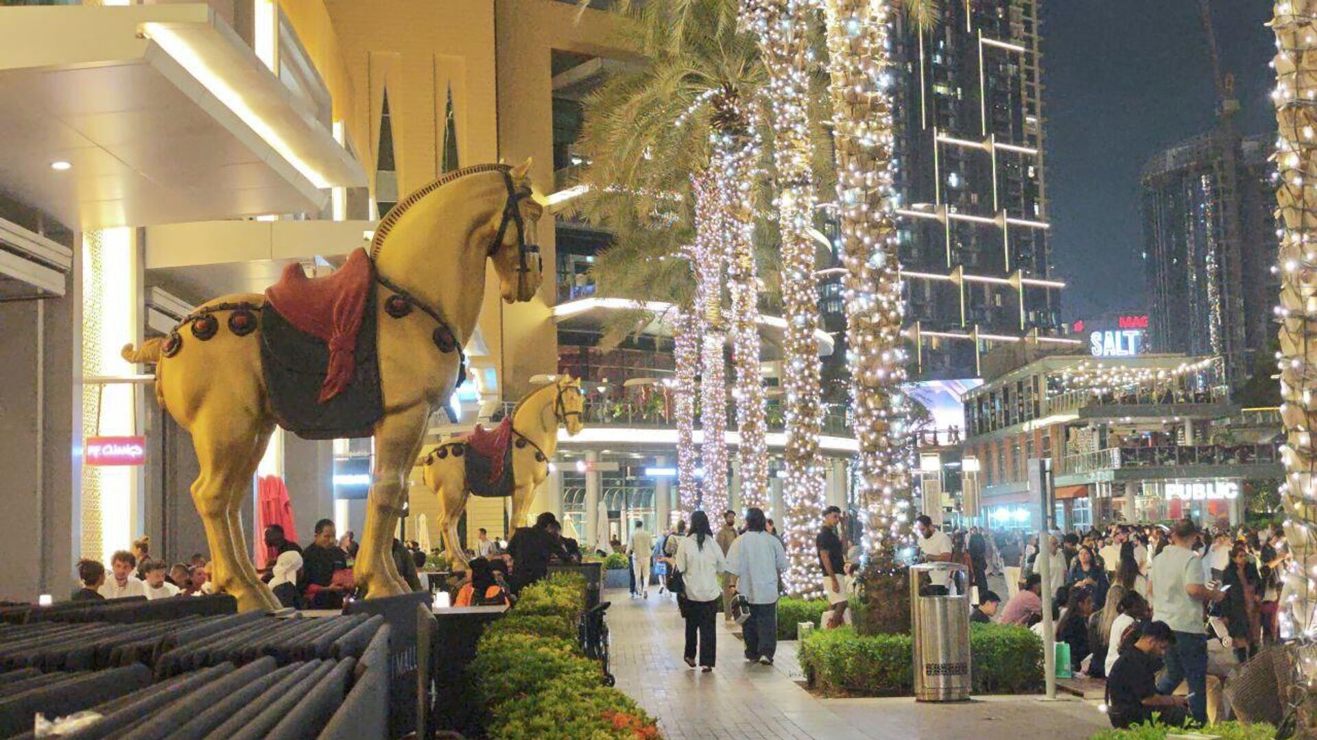 الإمارات على موعد مع أكبر احتفالية في العالم برأس السنة   - سبوتنيك عربي, 1920, 30.12.2025