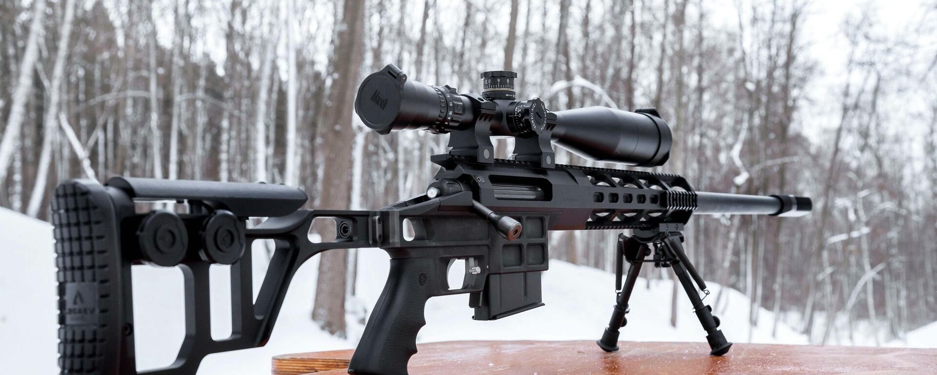 دي إكس إل - 3.. بندقية قنص روسية بعيدة المدى بطلقات خارقة - سبوتنيك عربي, 1920, 30.12.2025