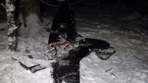 إسقاط مسيرة أوكرانية حاولت مهاجمة مقر إقامة بوتين - سبوتنيك عربي