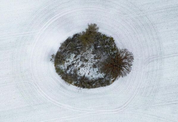 تساقطت كمية قليلة من الثلج على حقل في شرق براندنبورغ في ألمانيا في الصباح الباكر - سبوتنيك عربي