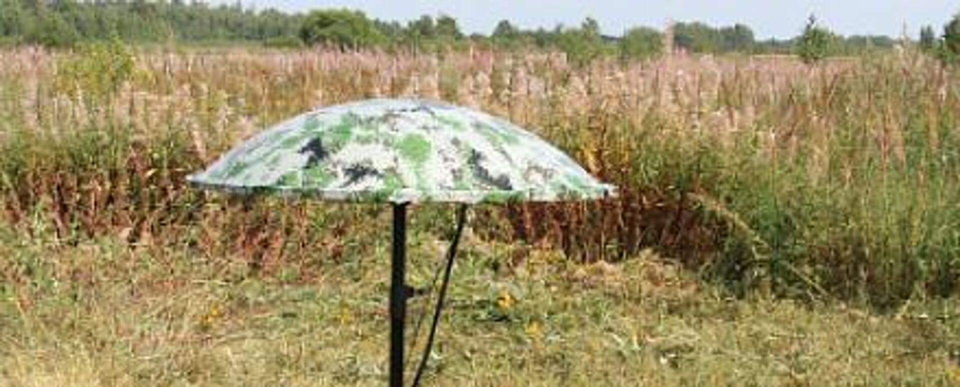 نظام مكافحة الطائرات المسيرة الروسي أرغمنت - 3 - سبوتنيك عربي, 1920, 04.01.2026