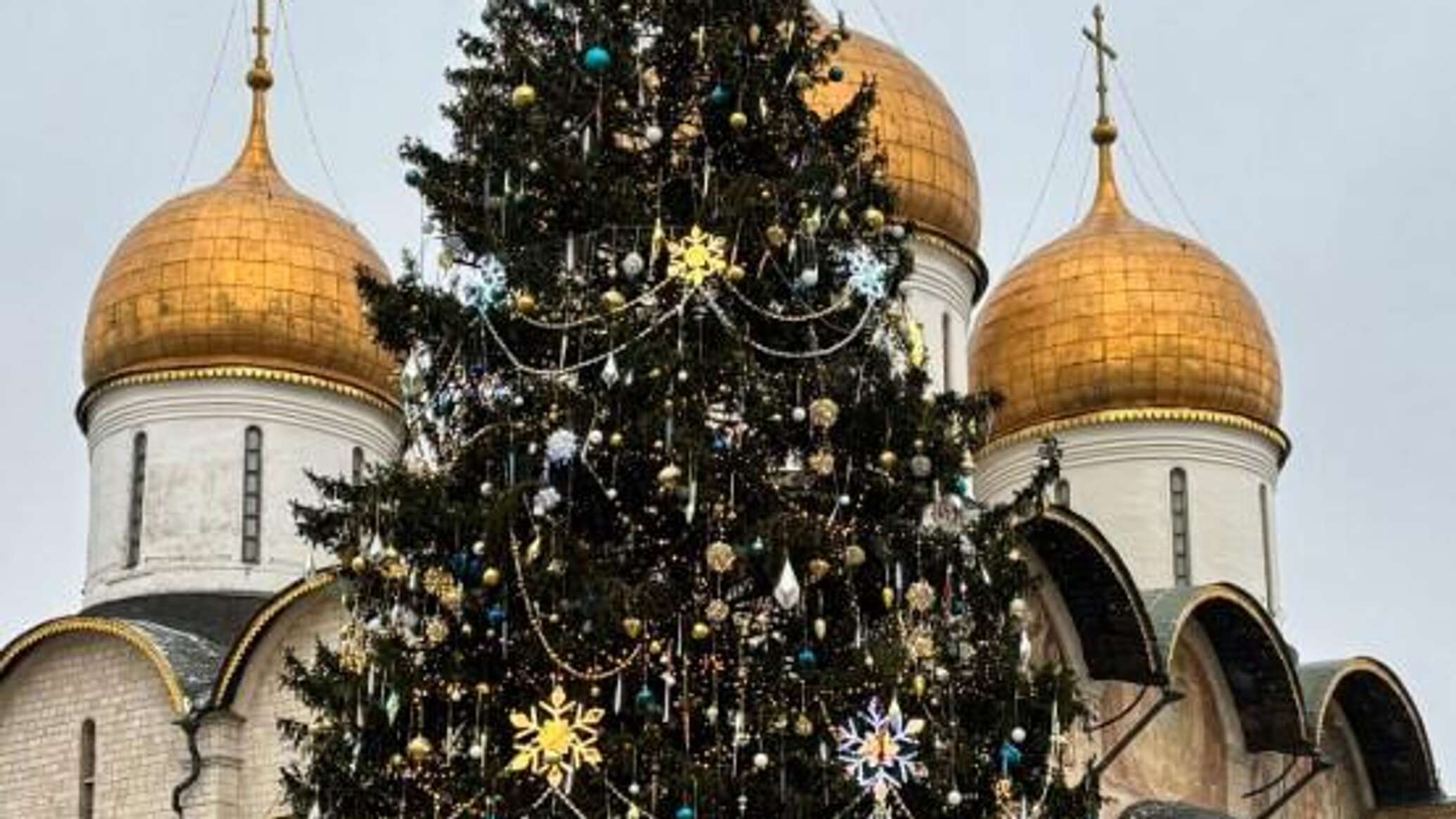 1200 شجرة عيد ميلاد تزين نهر موسكو وتضفي أجواء احتفالية ساحرة...فيديو