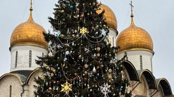 شجرة الميلاد  - سبوتنيك عربي