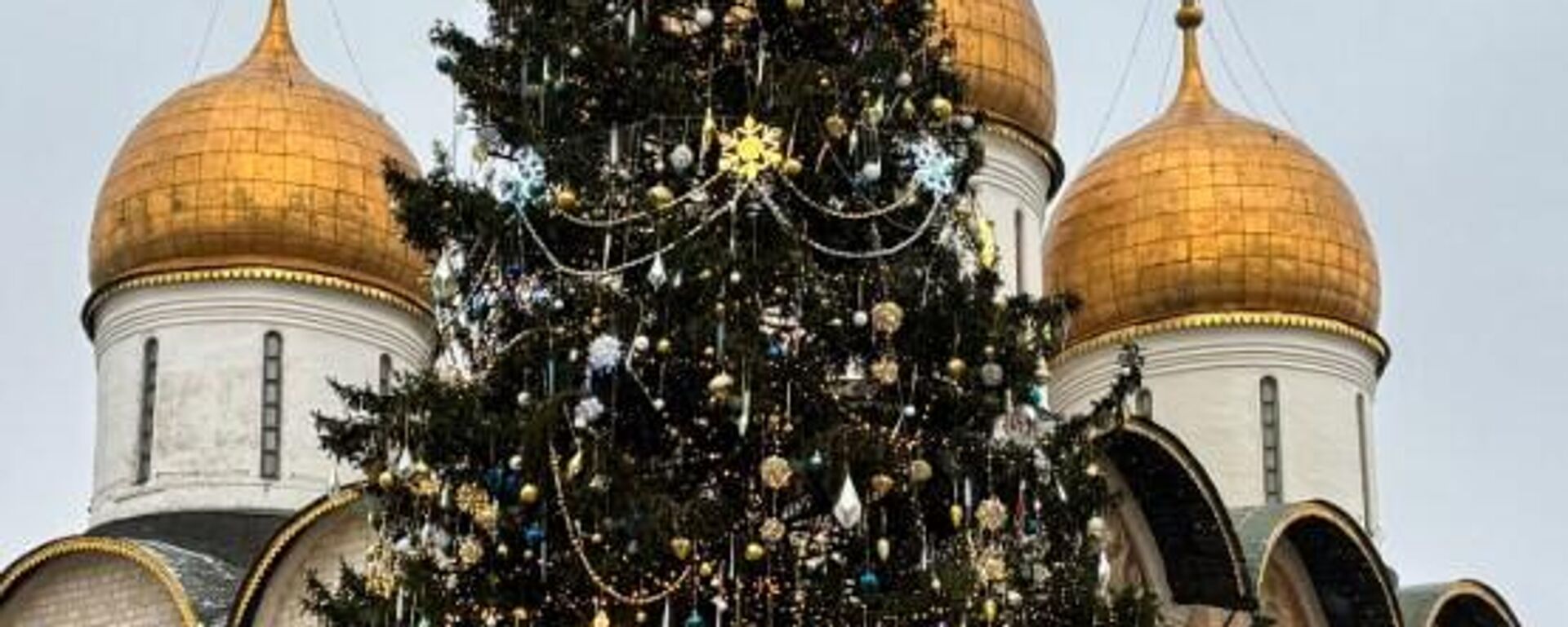 شجرة الميلاد  - سبوتنيك عربي, 1920, 04.01.2026