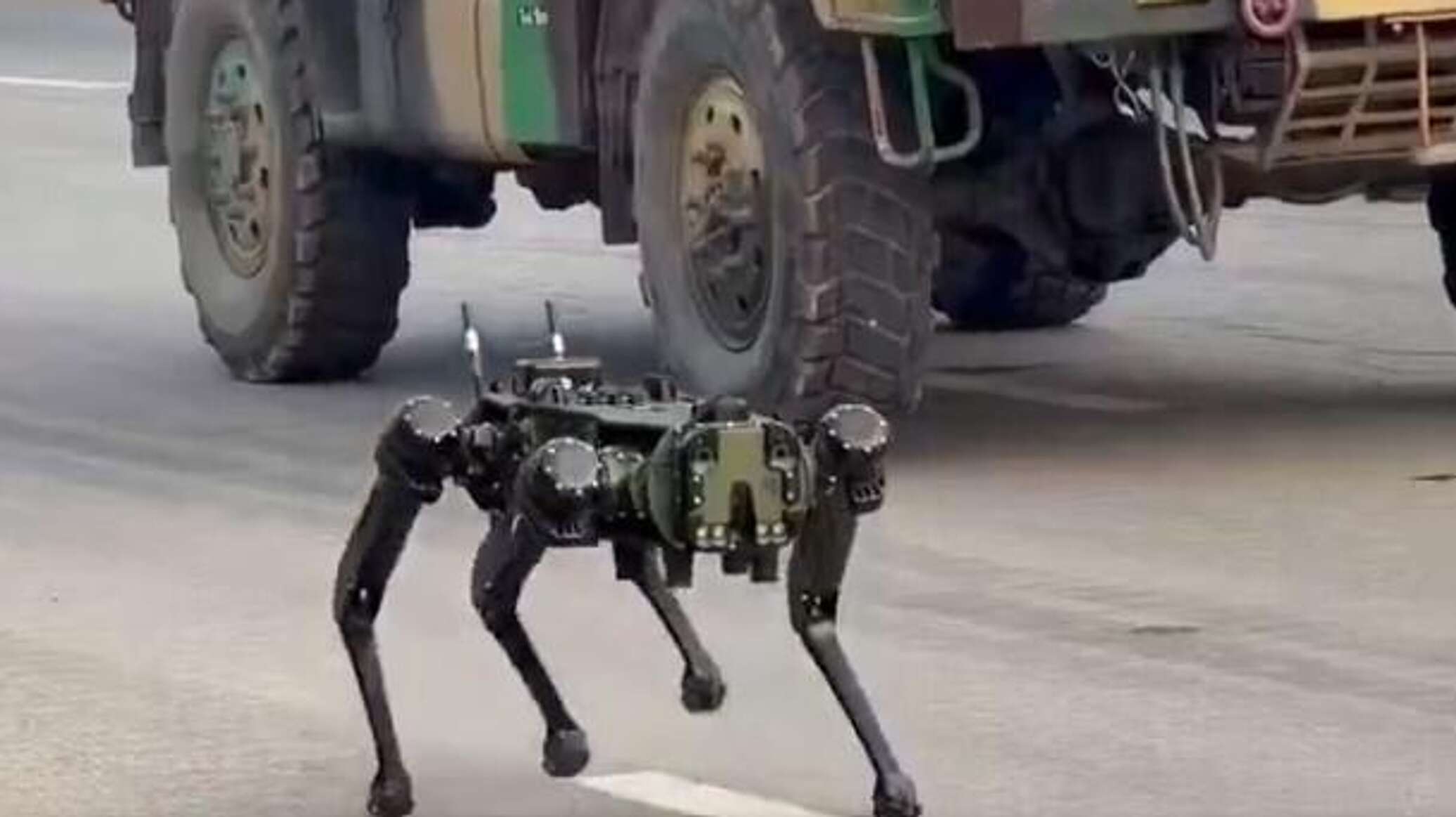 الجيش الهندي يكشف عن كلاب آلية للعمل في البيئات الخطرة...فيديو