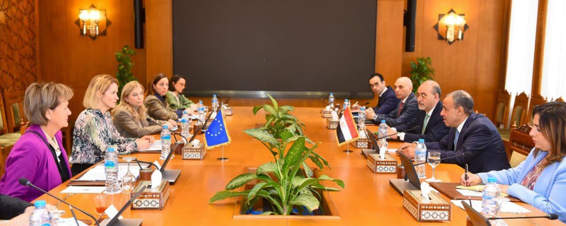 وزير الخارجية المصري بدر عبد العاطي خلال اجتماع مشترك مع مفوضة الشؤون الخارجية للاتحاد الأوروبي كايا كالاس - سبوتنيك عربي, 1920, 08.01.2026