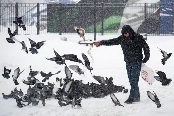رجل يُطعم الحمام أثناء تساقط الثلوج في موسكو - سبوتنيك عربي