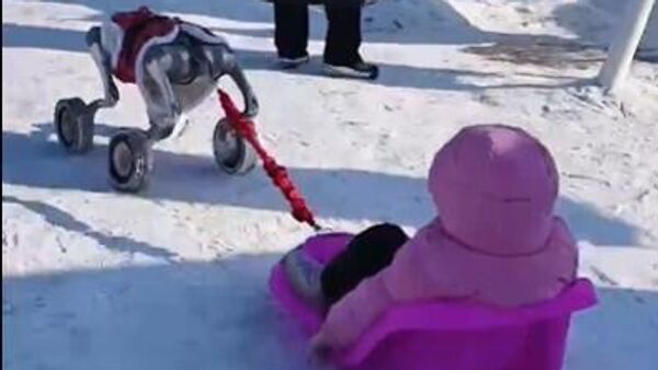 كلب روبوتي يصطحب طفلة في جولة على نهر متجمد خلال مهرجان الجليد في الصين - سبوتنيك عربي