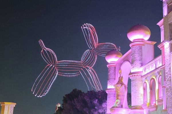 سبوتنيك ترصد فعاليات الدورة الـ30 من القرية العالمية في دبي سبوتنيك ترصد فعاليات الدورة الـ30 من القرية العالمية في دبي - سبوتنيك عربي