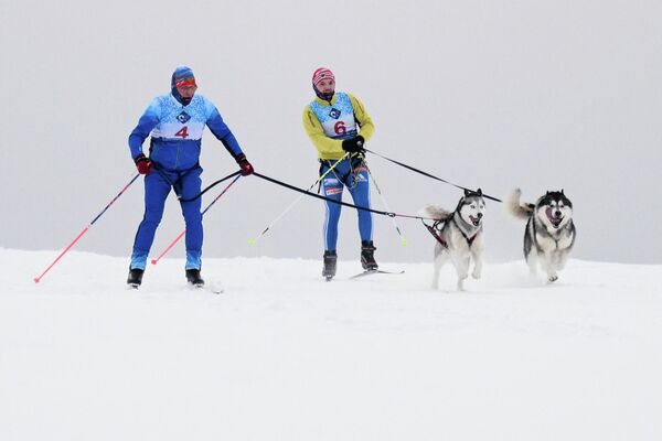 متزلجون برفقة كلابهم ضمن فريق سباق زلاجات الكلاب في بطولة مقاطعة نوفوسيبيرسك للناشئين في رياضة التزلج على الجليد بالكلاب  "سباق الزلاجات التي تجرها الكلاب-2026" في منتزه نوزدريكا الرياضي في مدينة كولتسوفو العلمية. - سبوتنيك عربي