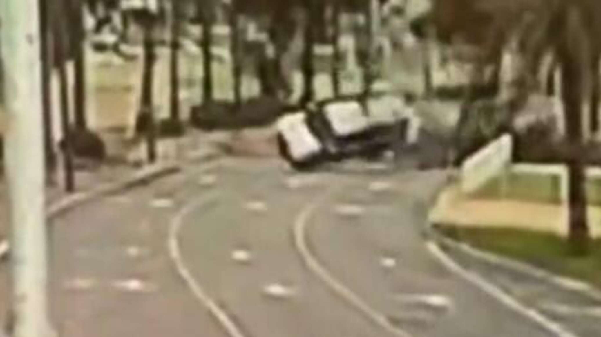 رياح قوية تقتلع شجرة وتتسبب في حادث سيارة على طريق رئيسي في إسرائيل..فيديو