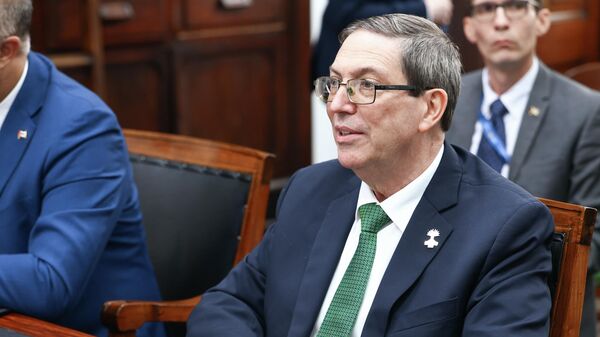 وزير الخارجية الكوبي برونو رودريغيز. - سبوتنيك عربي