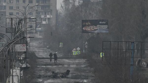  - سبوتنيك عربي