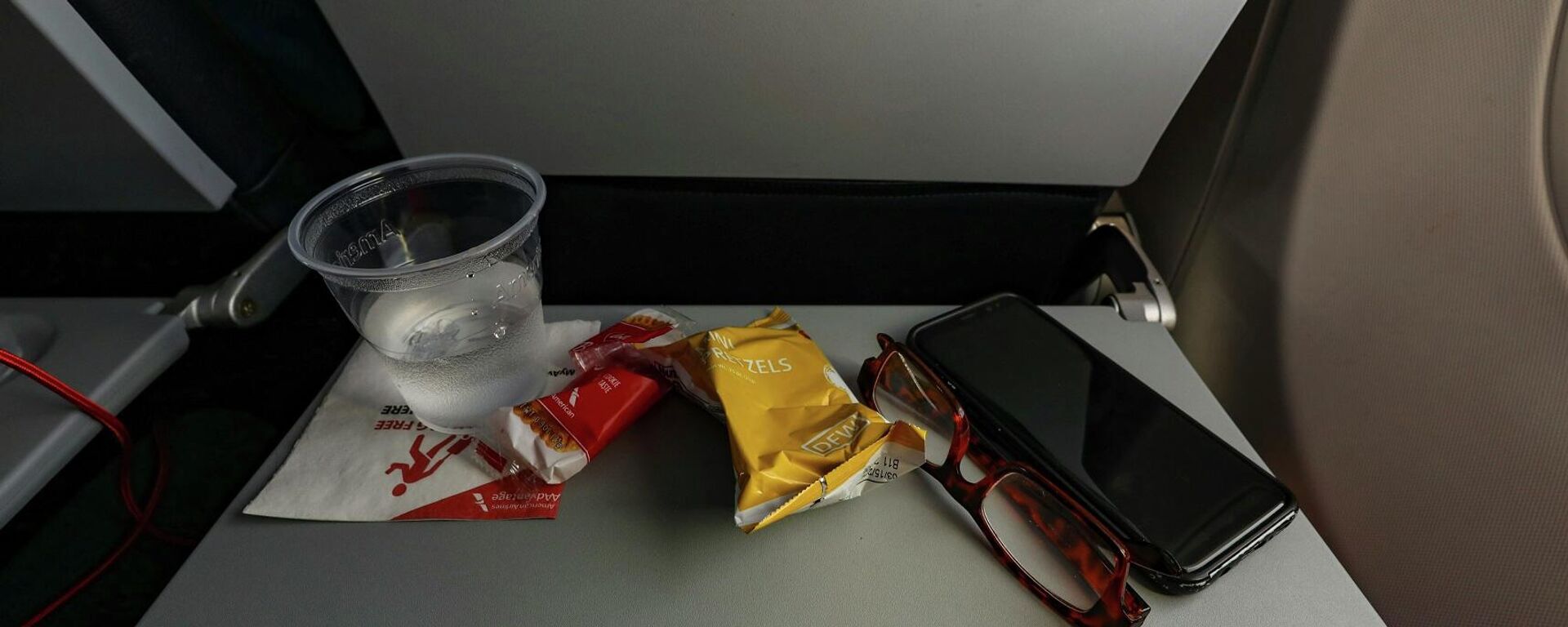 مياه ووجبات خفيفة في طائرة - سبوتنيك عربي, 1920, 13.01.2026