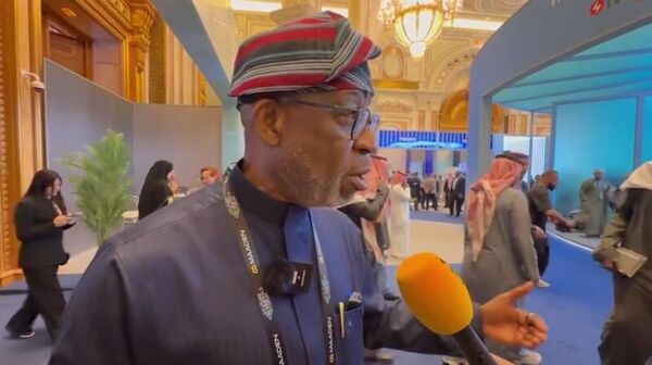 وزير تنمية المعادن الصلبة في جمهورية نيجيريا الاتحادية ديلي ألاكي - سبوتنيك عربي