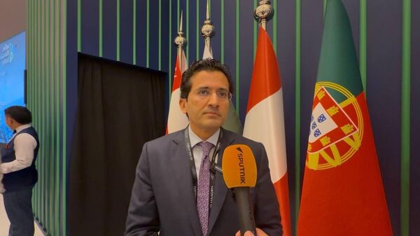  وزير البترول الباكستاني، علي برويز مالك - سبوتنيك عربي