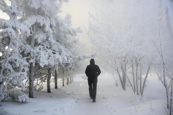 رجل في أحد شوارع نوفوسيبيرسك. - سبوتنيك عربي