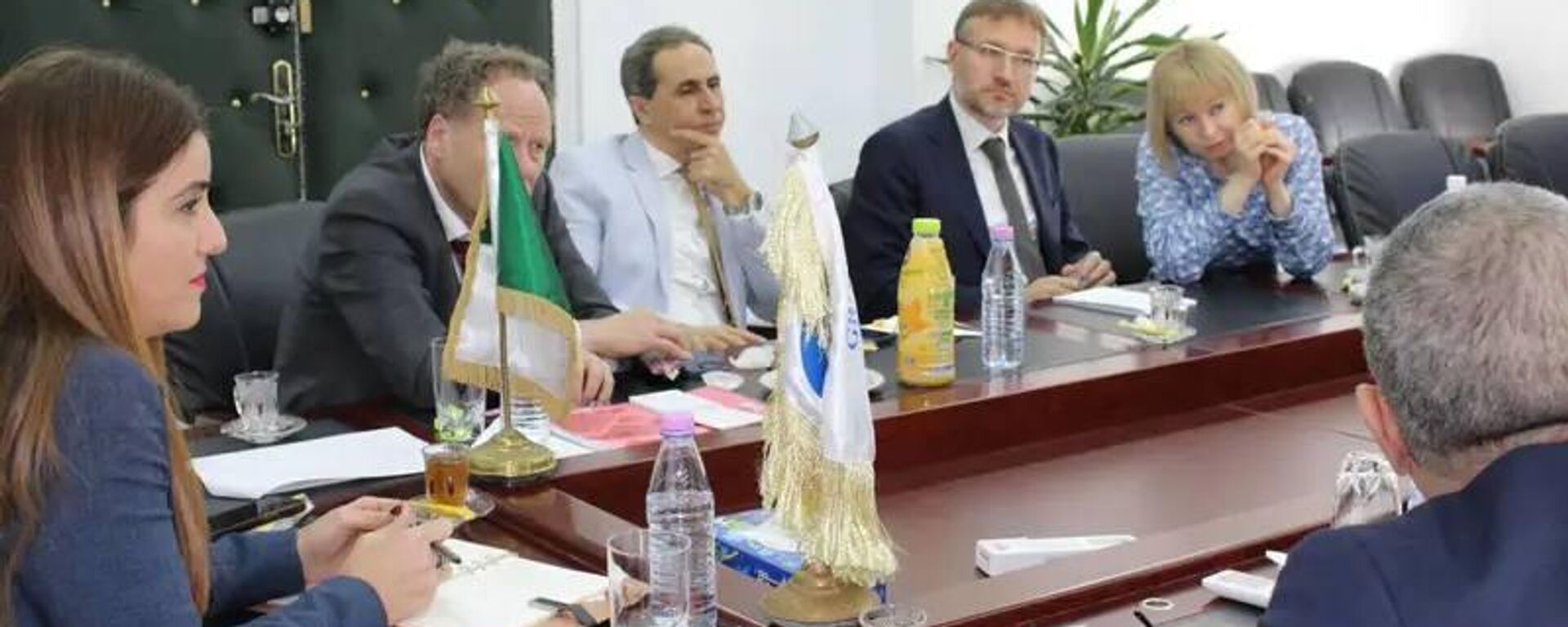 وفد رفيع المستوى قاده المدير العام للمجمع الروسي ستيفان دور يعقد لقاءات مع مسؤولي المجمع العمومي جيبلي في الجزائر - سبوتنيك عربي, 1920, 19.01.2026