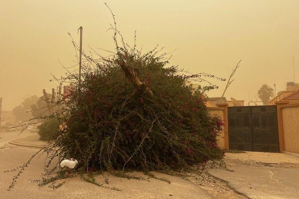 عاصفة رملية تضرب شرق وجنوبي ليبيا، 20 يناير 2026 - سبوتنيك عربي