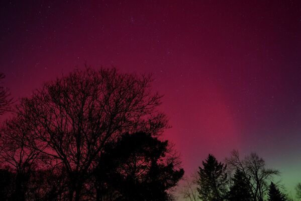ظاهرة الشفق القطبي تضيء سماء فالكنزي، براندنبورغ، وتعطي الجمال الطبيعي للشفق القطبي، ألمانيا - سبوتنيك عربي