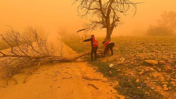 الهلال الأحمر الليبي: إخلاء أكثر من 80 أسرة في بنغازي جراء التقلبات الجوية  - سبوتنيك عربي