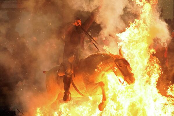 فارس يمتطي جواده وسط نار مشتعلة خلال احتفال "لومينارياس" السنوي عشية عيد القديس أنطونيوس، شفيع الحيوانات في إسبانيا. - سبوتنيك عربي