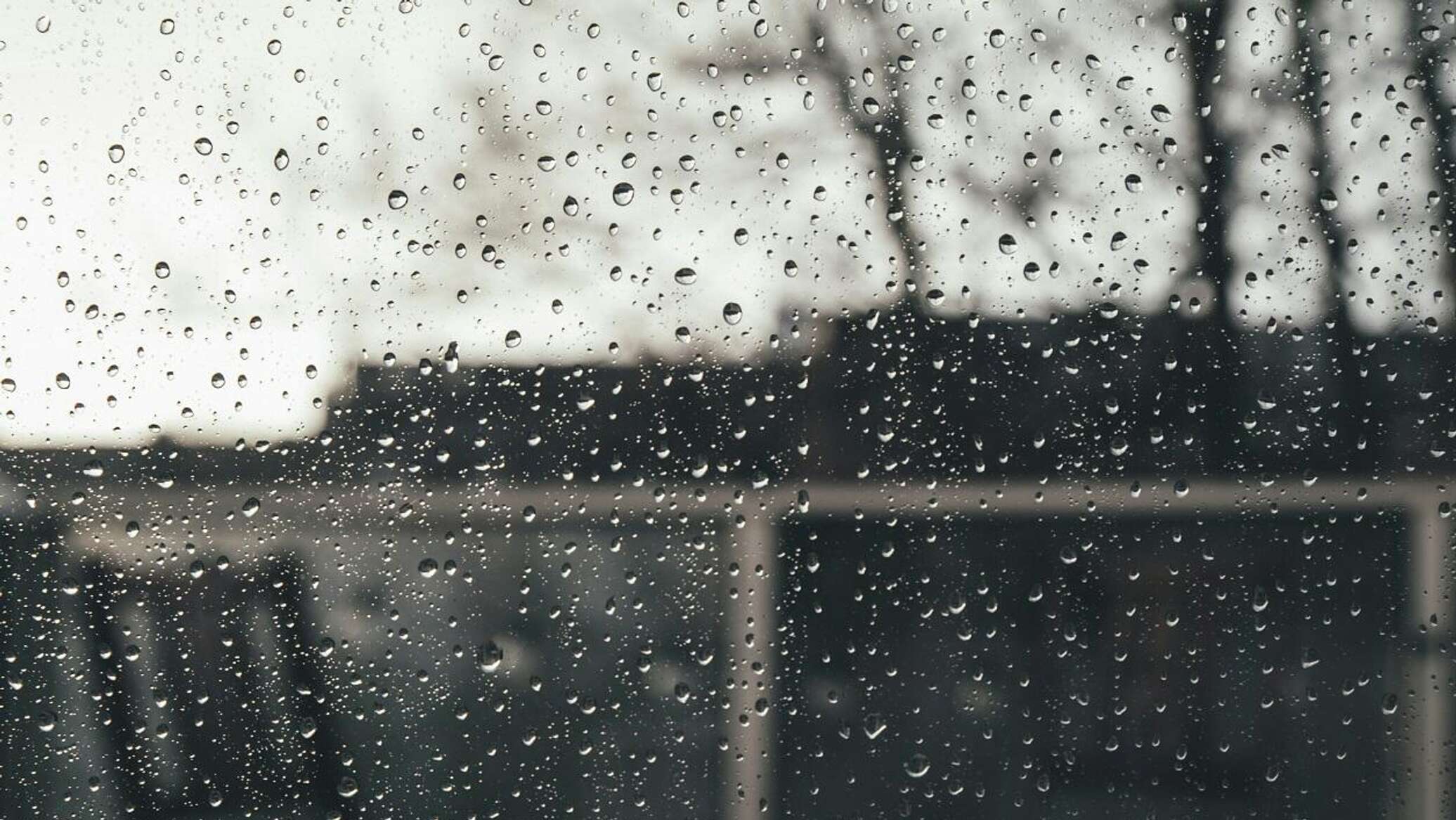 الجزائر تحت تأثير موجة طقس قاسية... تفاصيل الوضع الراهن والتطورات