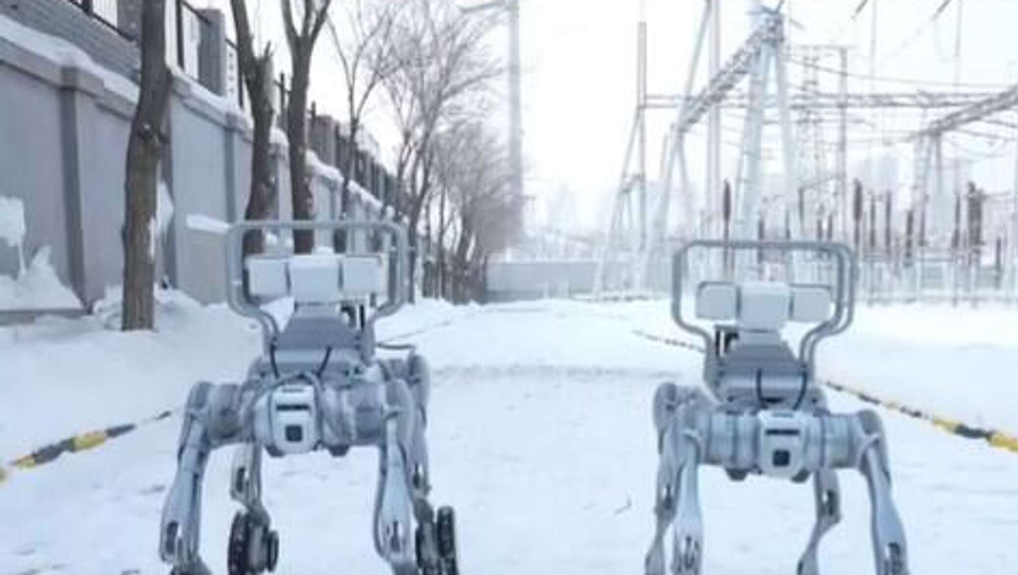 كلاب روبوتية في مقاطعة صينية تراقب شبكة الكهرباء وسط ظروف مناخية قاسية..فيديو