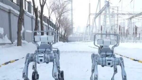 كلاب روبوتية في مقاطعة صيينية تراقب شبكة الكهرباء وسط ظروف مناخية قاسية - سبوتنيك عربي