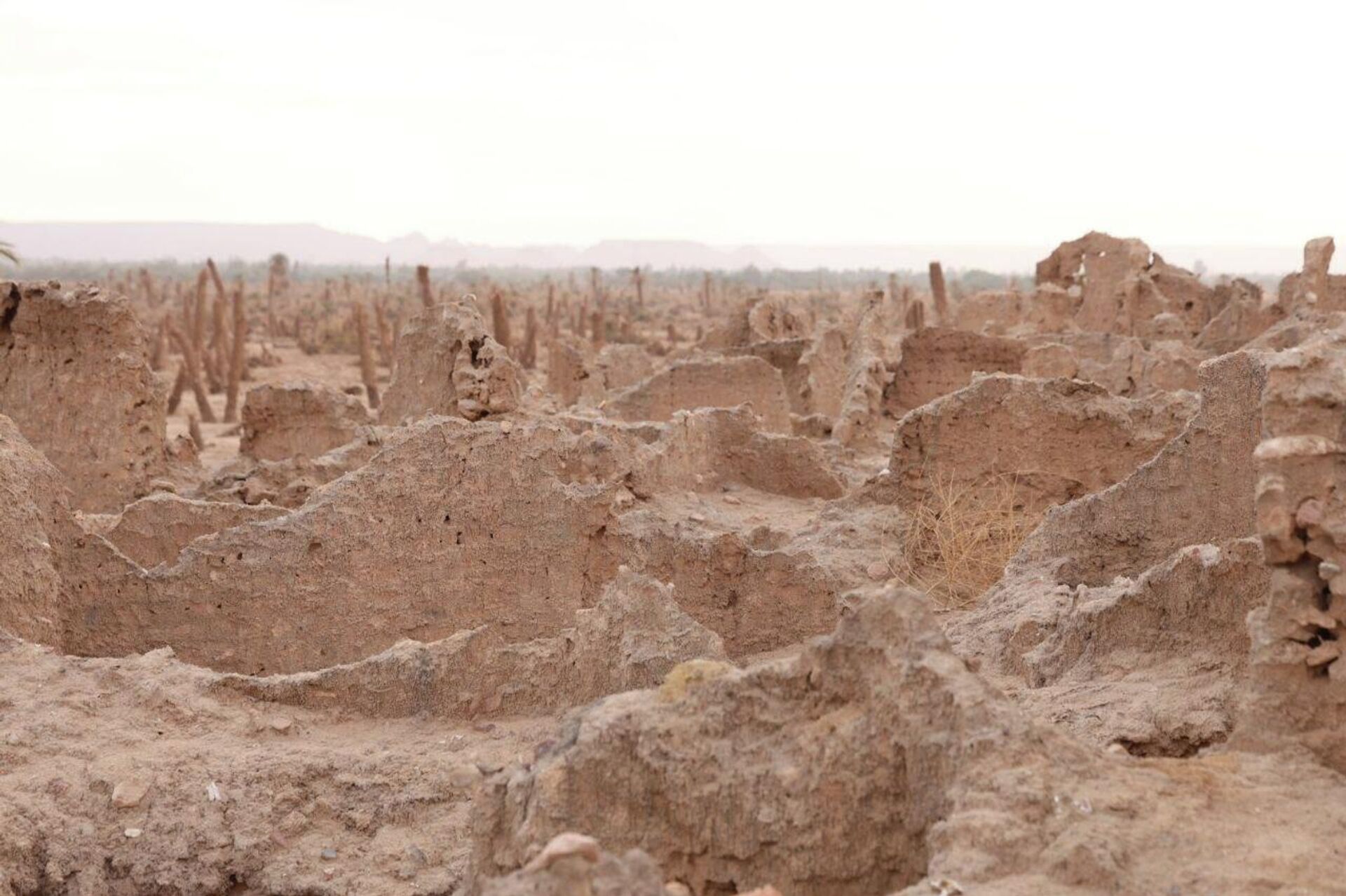مدينة جرمة، ليبيا - سبوتنيك عربي, 1920, 24.01.2026