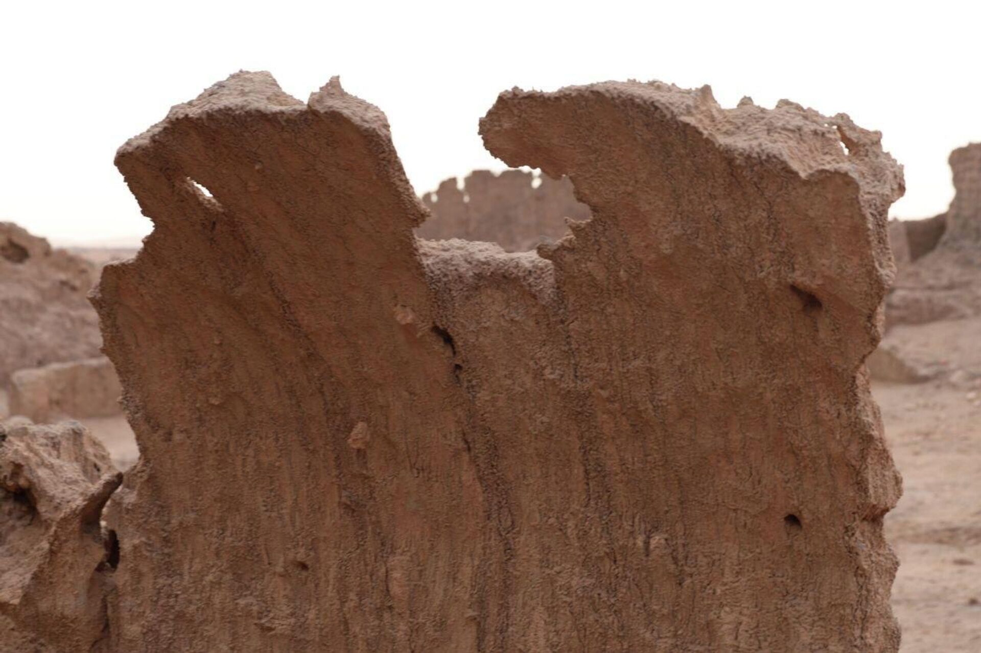 مدينة جرمة، ليبيا - سبوتنيك عربي, 1920, 24.01.2026