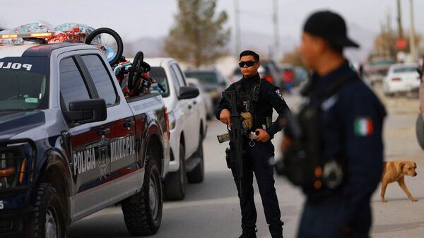 الشرطة المكسيكية - سبوتنيك عربي