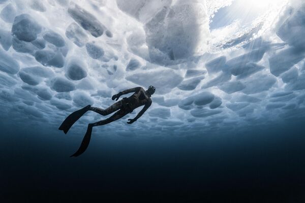 حصل المصوّر، جيمس فيرارا، على المركز الأول في فئة المياه الباردة ضمن مسابقة "فنون المحيطات 2025"، عن صورته المميزة بعنوان "طريق واحد للخروج"، ليفوز بجائزة عبارة عن رحلة غوص لمدة 7 ليال لشخصين إلى بابوا غينيا الجديدة. - سبوتنيك عربي