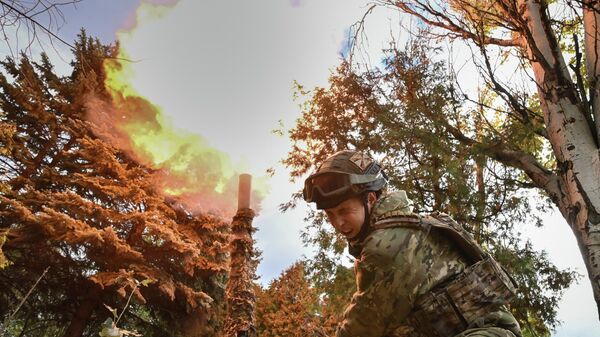 مدفع 2 إس 4 تيولبان الروسي مع مجموعة قوات المركز - سبوتنيك عربي