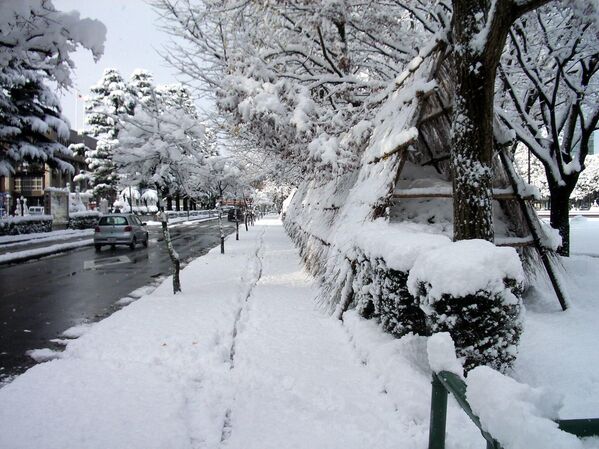 مدينة "توياما" اليابانية بعد تساقط الثلوج. مدينة "توياما" اليابانية بعد تساقط الثلوج. - سبوتنيك عربي