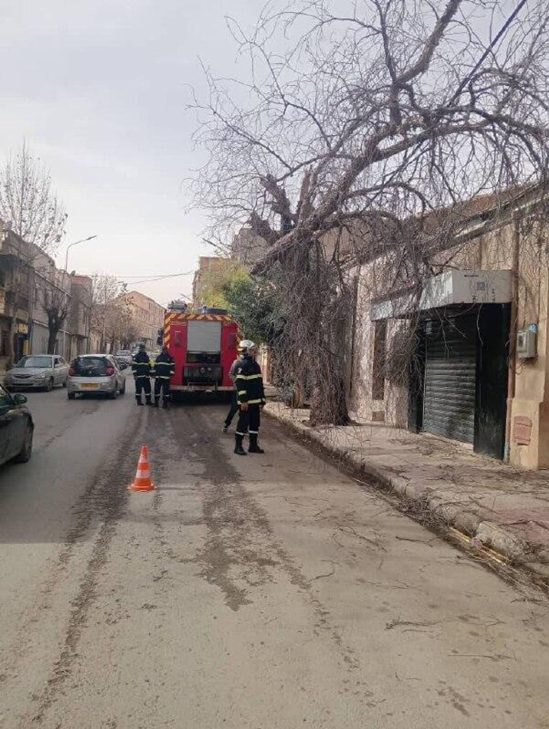 عاصفة رياح نادرة في الجزائر - سبوتنيك عربي, 1920, 28.01.2026