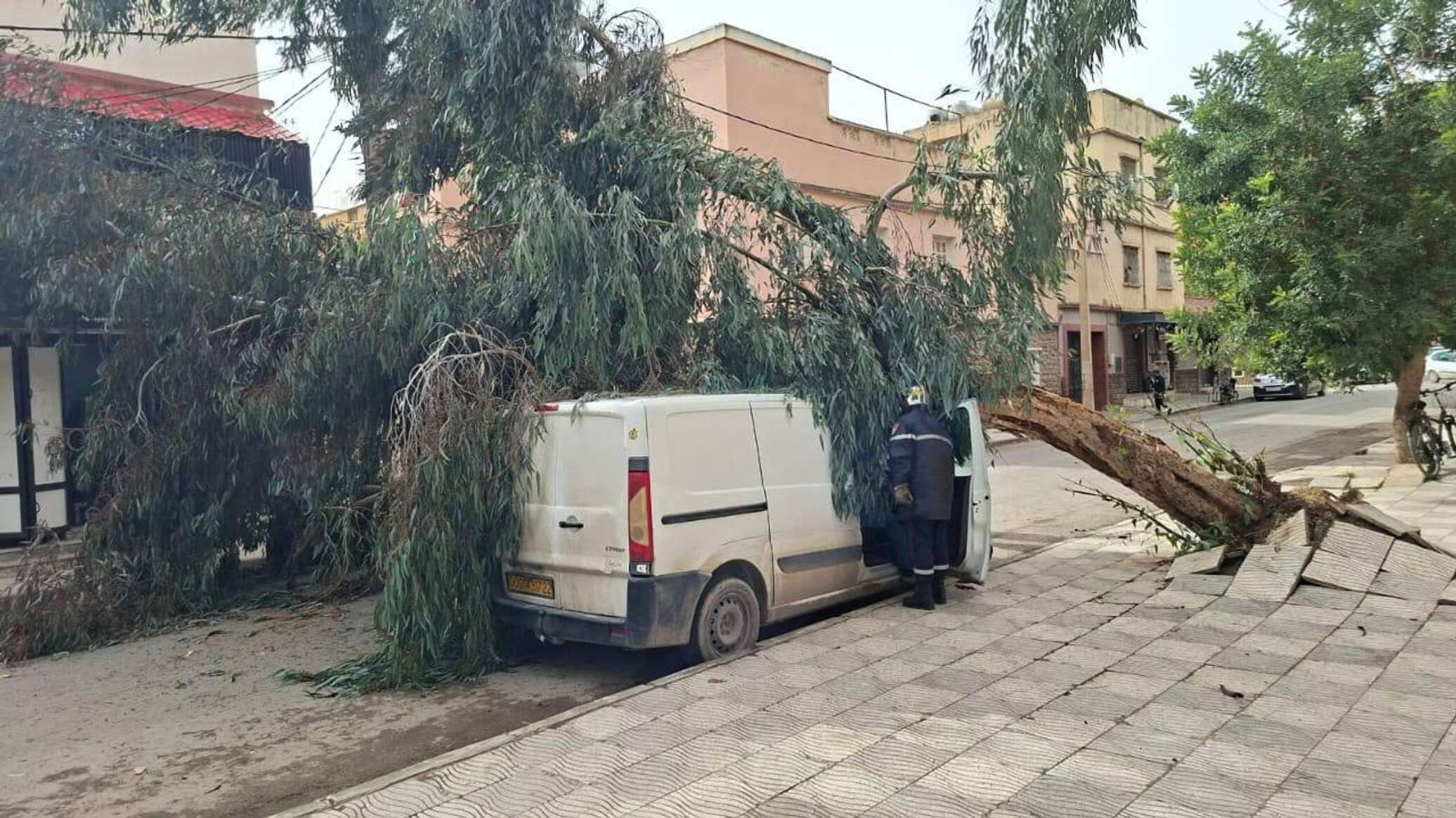 أدت إلى تعليق الدراسة وغلق المنتزهات العمومية .. الجزائر على وقع عاصفة رياح نادرة