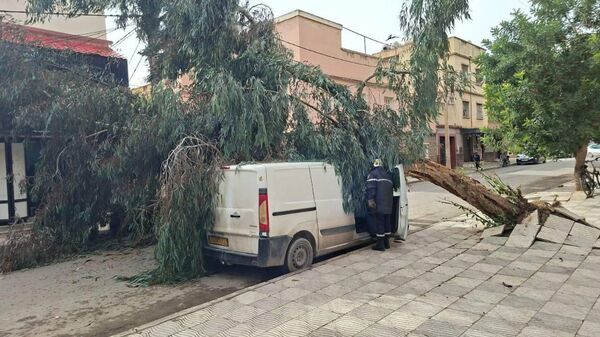 عاصفة رياح نادرة في الجزائر - سبوتنيك عربي