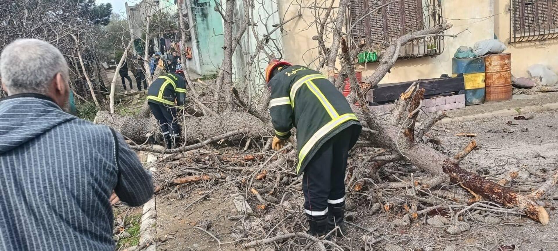 عاصفة رياح نادرة في الجزائر - سبوتنيك عربي, 1920, 28.01.2026